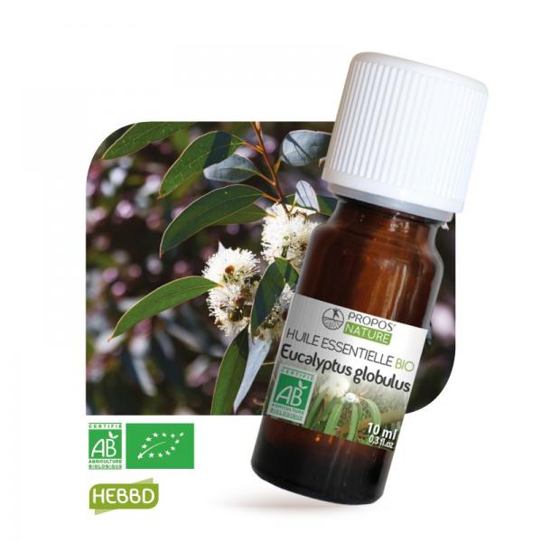 Huile essentielle d'Eucalyptus Globulus Bio 100% pure et naturelle-Propos'Nature