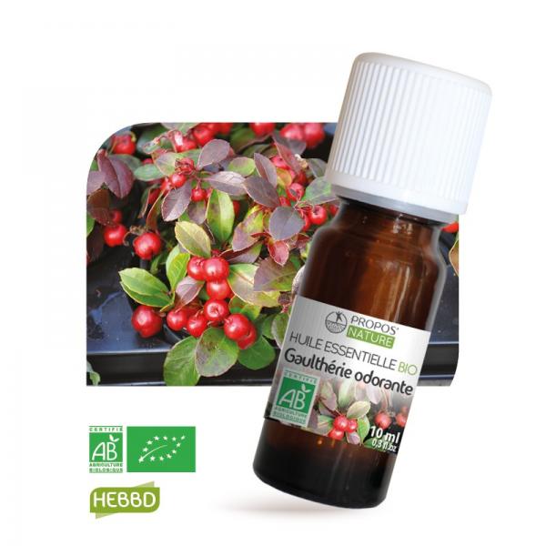 Huile essentielle de Gaulthérie Odorante Bio 100% pure & naturelle-Propos'Nature