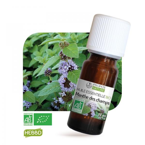 Huile essentielle de Menthe des champs Bio 100% pure et naturelle-Propos'Nature