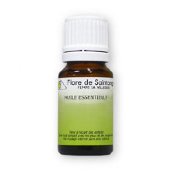 Huile Essentielle Romarin Verbénone ( Rosmarinus Officinalis)-Flore de Saintonge